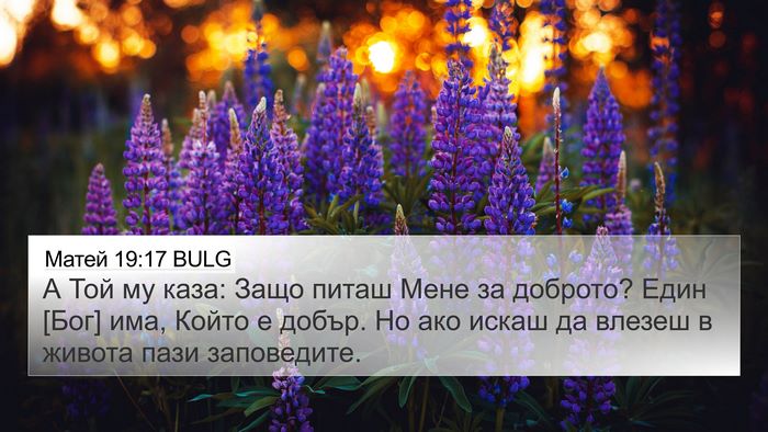 Матей 19:17 BULG Bible Verse Image