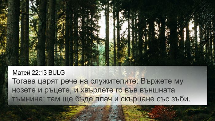 Матей 22:13 BULG Bible Verse Image