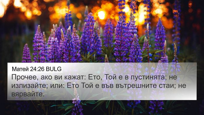 Матей 24:26 BULG Bible Verse Image