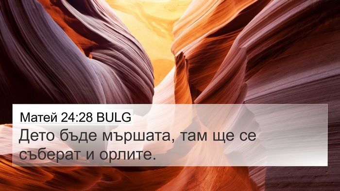 Матей 24:28 BULG Bible Verse Image