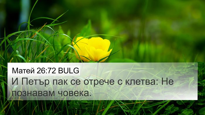 Матей 26:72 BULG 4K Wallpaper - И Петър пак се отрече с - 4K Wallpaper Bible Verse