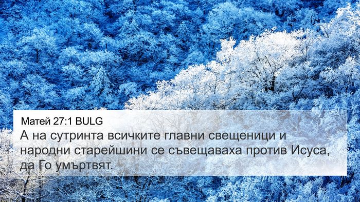 Матей 27:1 BULG Bible Verse Image