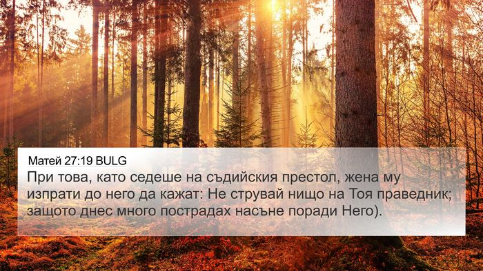 Матей 27:19 BULG Bible Verse Image
