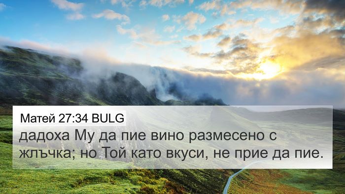 Матей 27:34 BULG Bible Verse Image