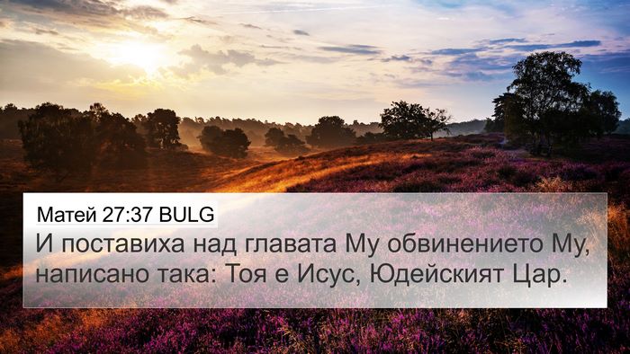 Матей 27:37 BULG Bible Verse Image