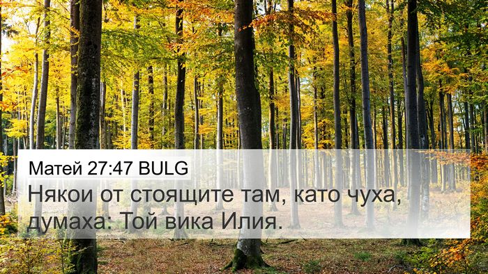 Матей 27:47 BULG Bible Verse Image