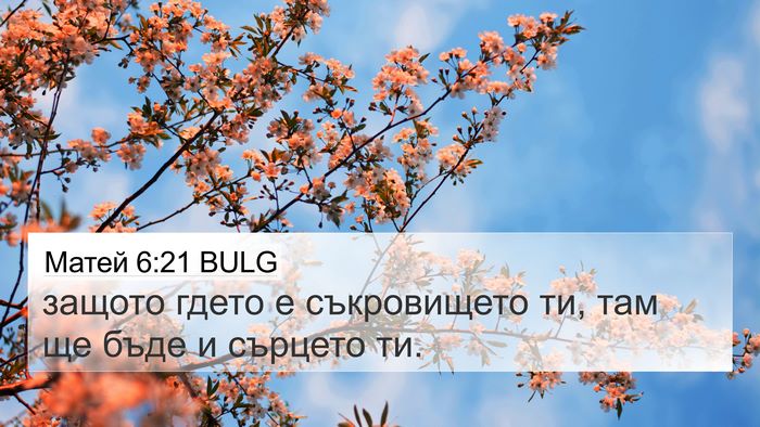 Матей 6:21 BULG Bible Verse Image