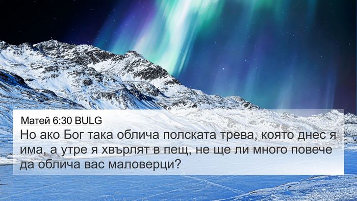 Матей 6:30 BULG Bible Verse Image