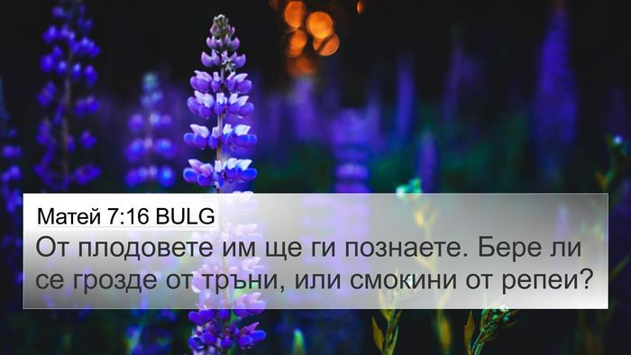 Матей 7:16 BULG Bible Verse Image
