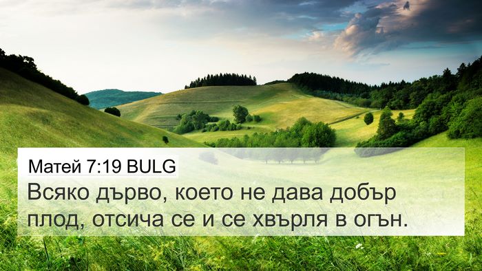 Матей 7:19 BULG Bible Verse Image