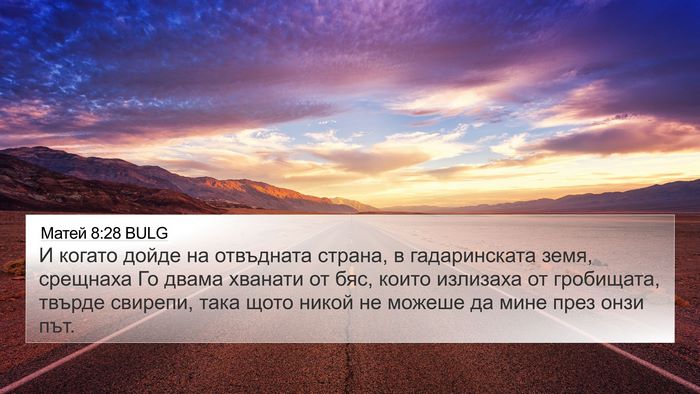 Матей 8:28 BULG Bible Verse Image