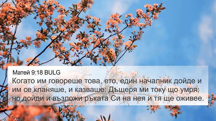 Матей 9:18 BULG Bible Verse Image