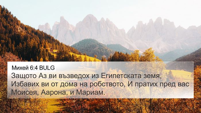Михей 6:4 BULG Bible Verse Image