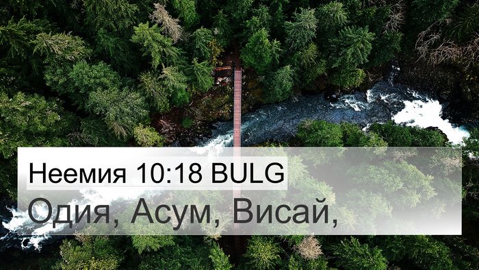Неемия 10:18 BULG Bible Verse Image