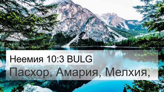 Неемия 10:3 BULG Bible Verse Image