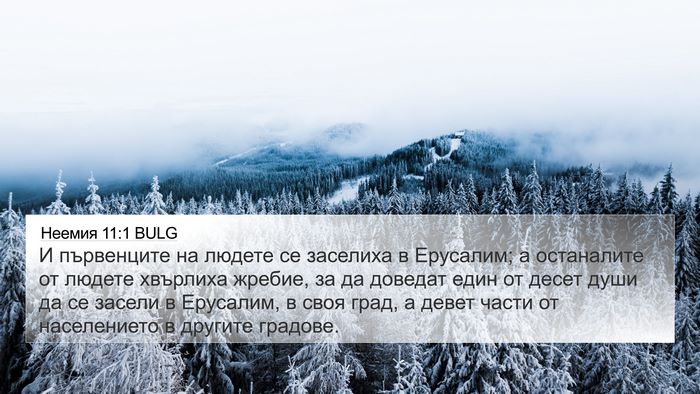Неемия 11:1 BULG Bible Verse Image