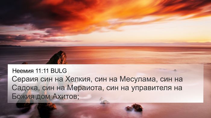 Неемия 11:11 BULG Bible Verse Image