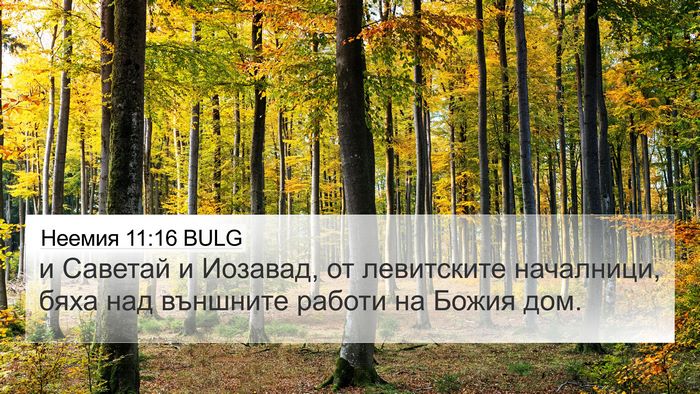 Неемия 11:16 BULG 4K Wallpaper - и Саветай и Иозавад, от - 4K Wallpaper Bible Verse