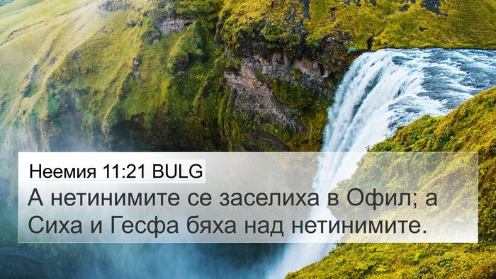 Неемия 11:21 BULG Bible Verse Image