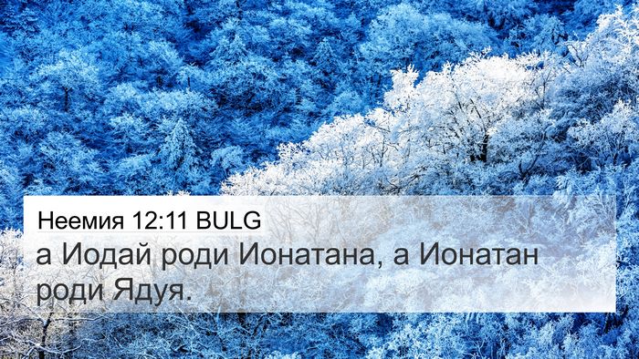 Неемия 12:11 BULG 4K Wallpaper - а Иодай роди Ионатана, а - 4K Wallpaper Bible Verse