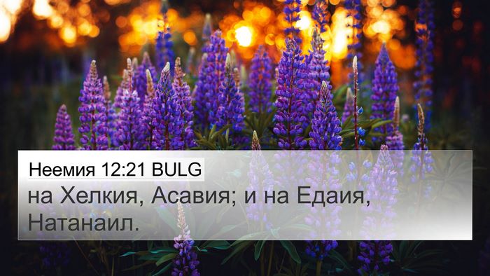 Неемия 12:21 BULG 4K Wallpaper - на Хелкия, Асавия; и на - 4K Wallpaper Bible Verse