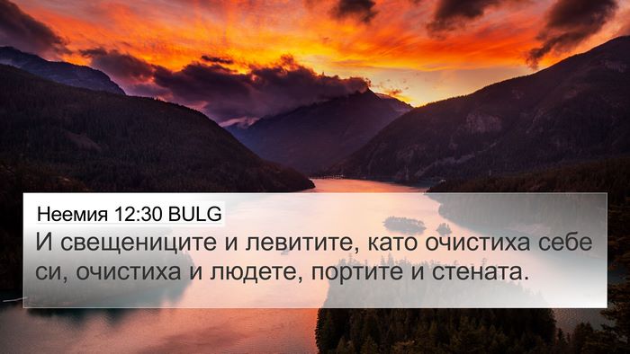 Неемия 12:30 BULG Bible Verse Image