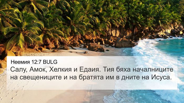 Неемия 12:7 BULG Bible Verse Image