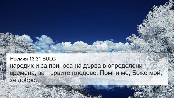 Неемия 13:31 BULG Bible Verse Image