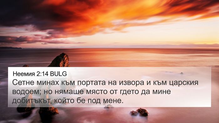 Неемия 2:14 BULG Bible Verse Image