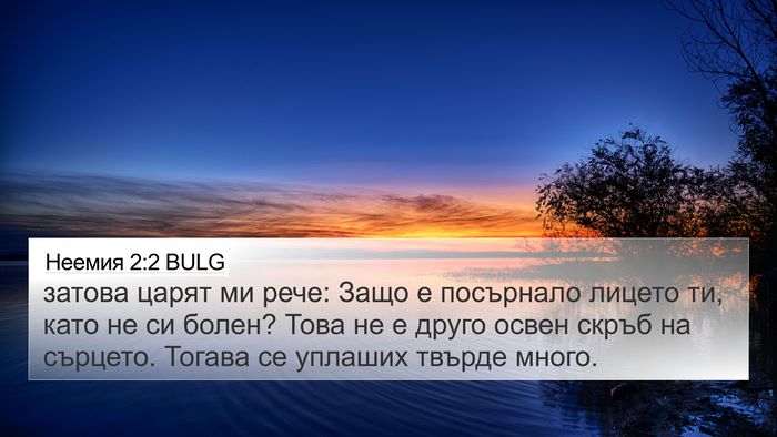 Неемия 2:2 BULG 4K Wallpaper - затова царят ми рече: Защо - 4K Wallpaper Bible Verse
