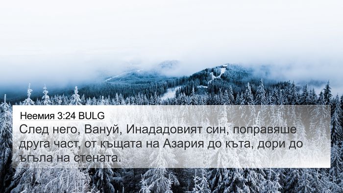 Неемия 3:24 BULG Bible Verse Image
