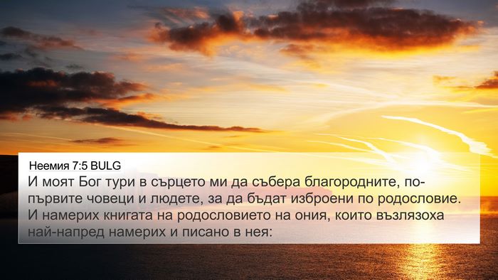 Неемия 7:5 BULG 4K Wallpaper - И моят Бог тури в сърцето - 4K Wallpaper Bible Verse