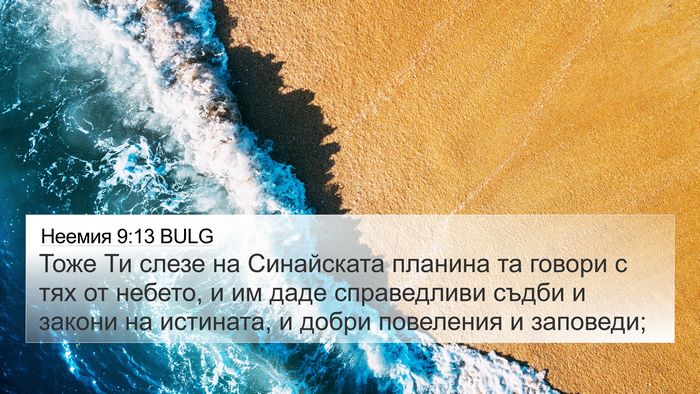 Неемия 9:13 BULG Bible Verse Image