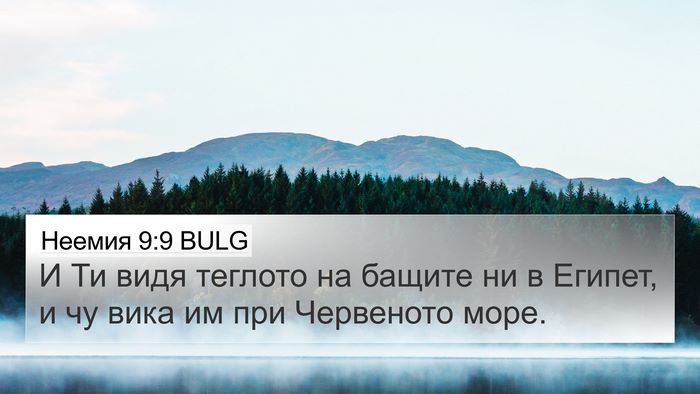 Неемия 9:9 BULG Bible Verse Image