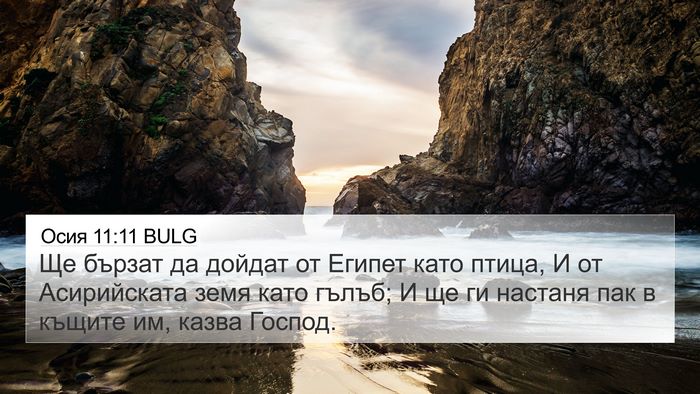 Осия 11:11 BULG 4K Wallpaper - Ще бързат да дойдат от - 4K Wallpaper Bible Verse