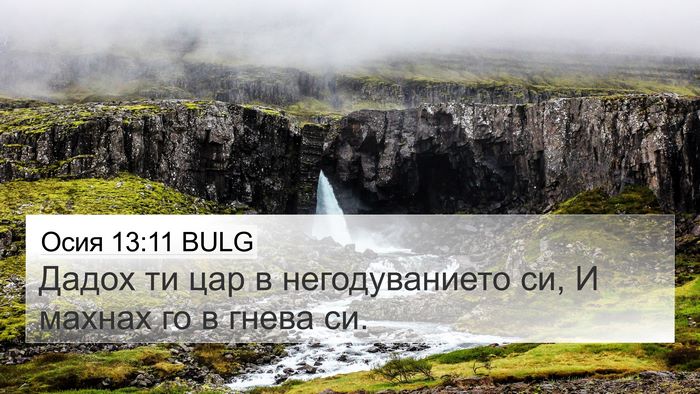 Осия 13:11 BULG Bible Verse Image