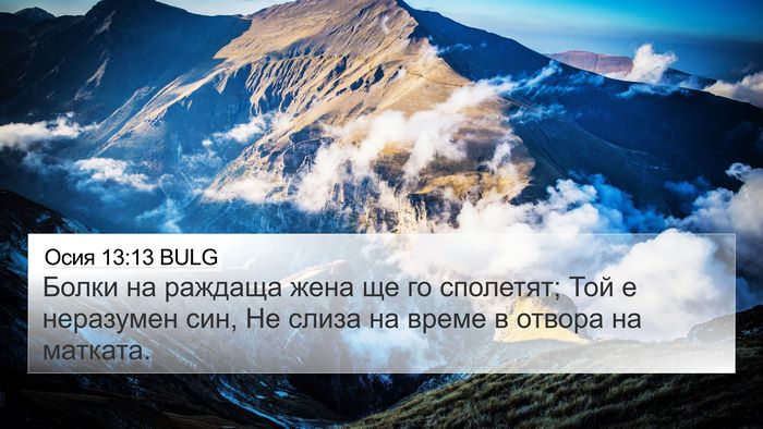 Осия 13:13 BULG Bible Verse Image