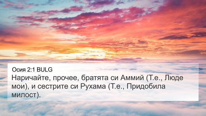 Осия 2:1 BULG Bible Verse Image