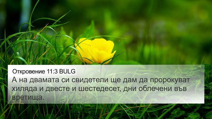 Откровение 11:3 BULG Bible Verse Image