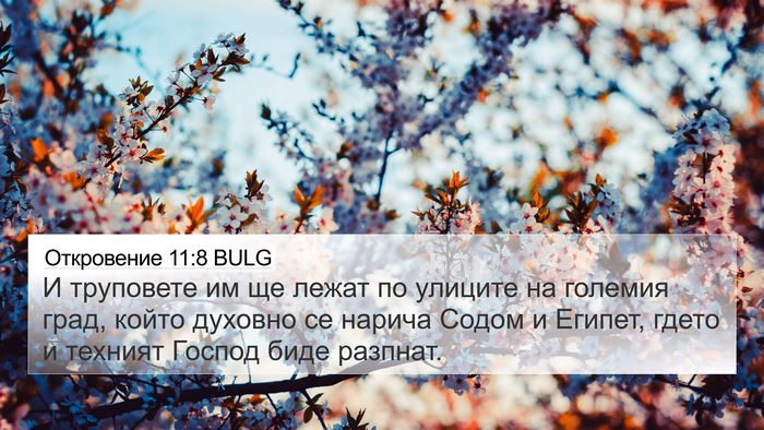 Откровение 11:8 BULG Bible Verse Image