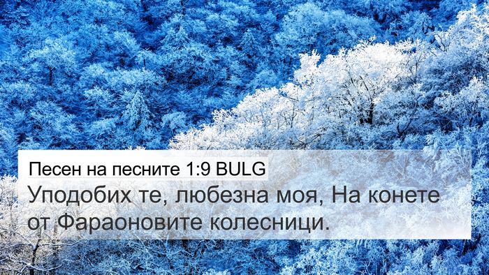 Песен на песните 1:9 BULG 4K Wallpaper - Уподобих те, любезна моя, - 4K Wallpaper Bible Verse