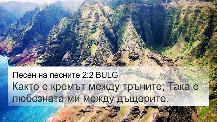 Песен на песните 2:2 BULG Bible Verse Image
