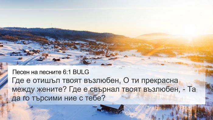 Песен на песните 6:1 BULG Bible Verse Image