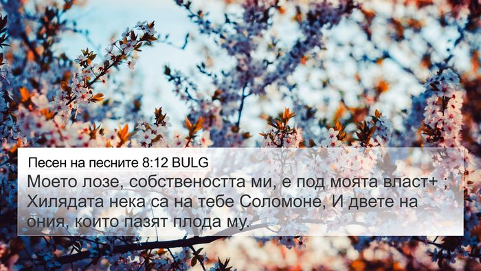 Песен на песните 8:12 BULG Bible Verse Image
