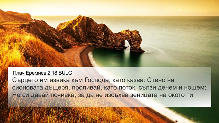 Плач Еремиев 2:18 BULG Bible Verse Image