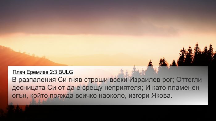 Плач Еремиев 2:3 BULG Bible Verse Image