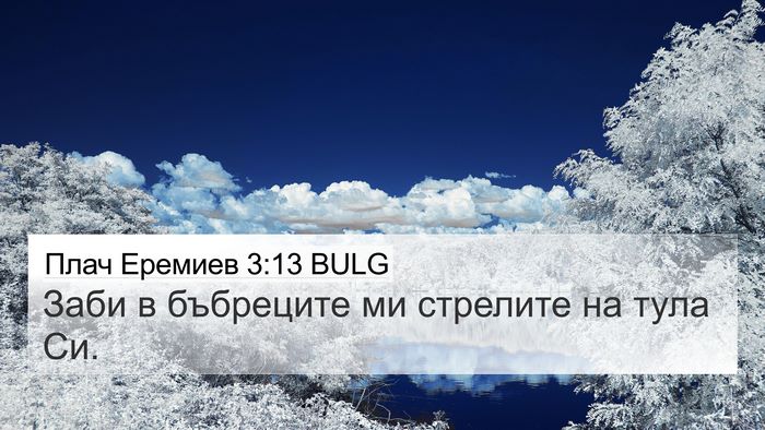 Плач Еремиев 3:13 BULG Bible Verse Image