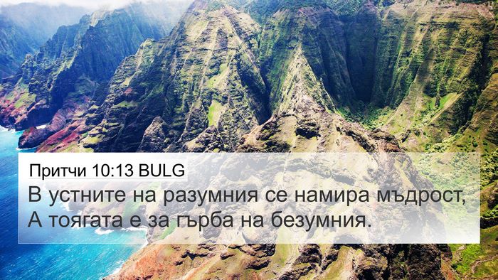 Притчи 10:13 BULG Bible Verse Image