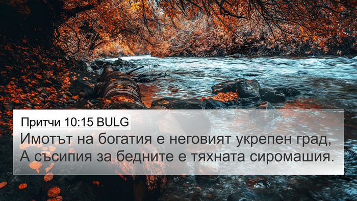 Притчи 10:15 BULG Bible Verse Image