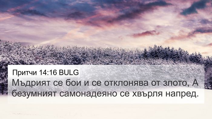 Притчи 14:16 BULG Bible Verse Image